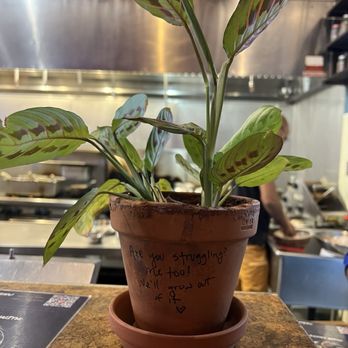 Thali - Plant - Indian Near Me - Reno, Nevada Thali - Plant - Indian Near Me - Reno, Nevada