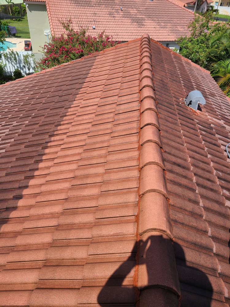 Slide of Nj Pressure Washing and Roof Cleaning