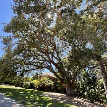 Filoli - Outside - Botanical Gardens Near Me - Woodside, California