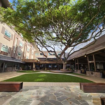 Hale O Meleana - The courtyard! - Assisted Living Facilities Near Me - Honolulu, Hawaii Hale O Meleana - The courtyard! - Assisted Living Facilities Near Me - Honolulu, Hawaii