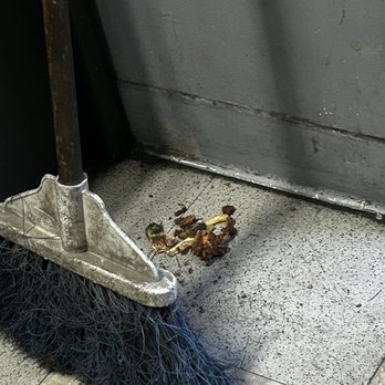 Trejo's Auto Repair - Old dried food at the door walking into the office.. - Auto Repair Near Me - Tracy, California