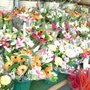 Photo of Sunshine Market