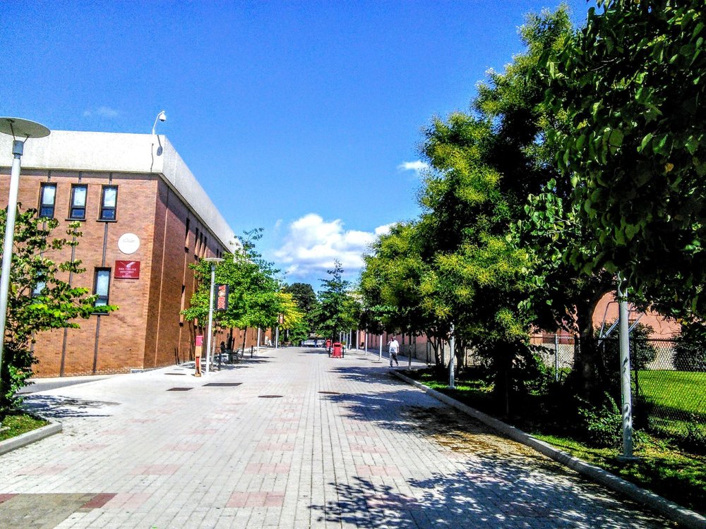 Queens High School For The Sciences