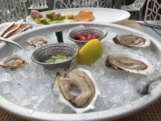 Water Star Grille by null
