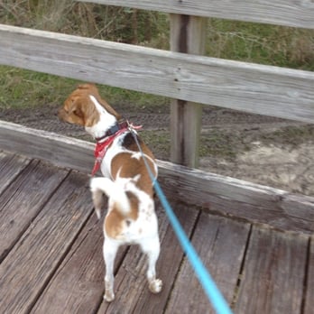Challenger 7 Memorial Park - Pocky lookin' out - Hiking Near Me - Webster, Texas