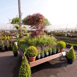 Kiwi Nurseries