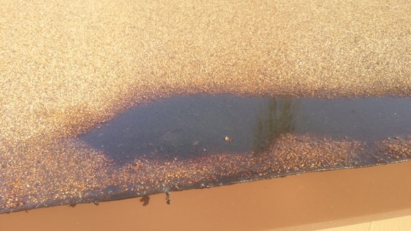 Golden West Roofing Logo