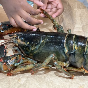 Peter's Fish Market - a lobster being prepared - Seafood Markets Near Me - Midland Park, New Jersey Peter's Fish Market - a lobster being prepared - Seafood Markets Near Me - Midland Park, New Jersey