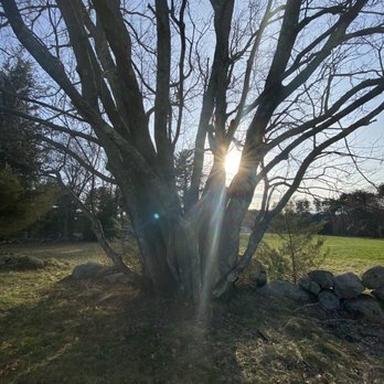 Ward Reservation - Parks Near Me - Andover, Massachusetts