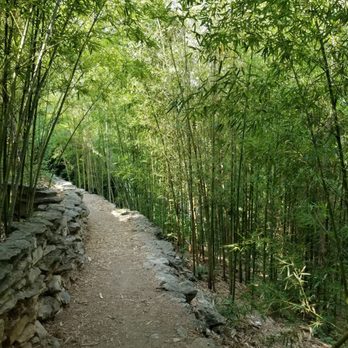 Zilker Botanical Gardens - Bamboo Garden - Botanical Gardens Near Me - Austin, Texas Zilker Botanical Gardens - Bamboo Garden - Botanical Gardens Near Me - Austin, Texas