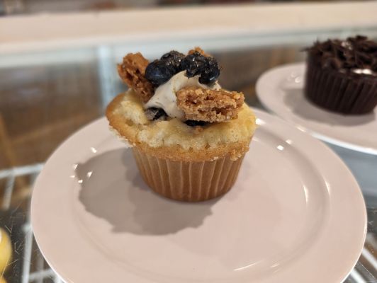 Molly's Cupcakes by null