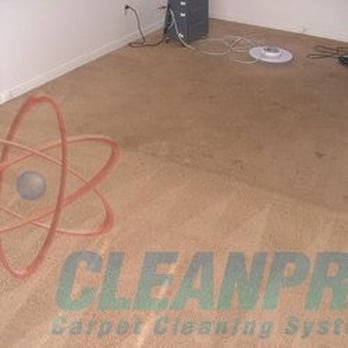 All Star Carpet Cleaners - Cleanpro results - Carpet Cleaning Near Me - Denver, Colorado All Star Carpet Cleaners - Cleanpro results - Carpet Cleaning Near Me - Denver, Colorado