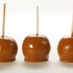 Zion Gourmet Popcorn
