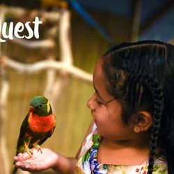 SeaQuest - Roseville
