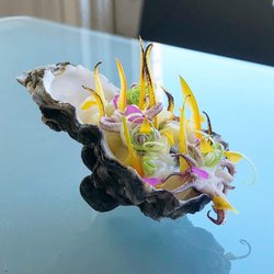 Ceviche: oyster, scallop, squid, charred squash, pluot, leek