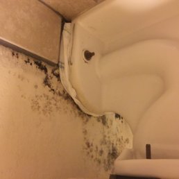Mold behind the toilet, super cool. And to stop it from leaking a plastic bag Mold behind the toilet, super cool. And to stop it from leaking a plastic bag
