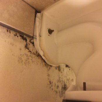 Quality Inn At Eglin Afb - Mold behind the toilet, super cool. And to stop it from leaking a plastic bag - Hotels Near Me - Niceville, Florida Quality Inn At Eglin Afb - Mold behind the toilet, super cool. And to stop it from leaking a plastic bag - Hotels Near Me - Niceville, Florida