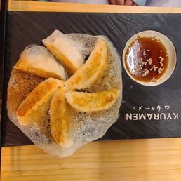 Pan Fried Gyoza Dumplings Pan Fried Gyoza Dumplings