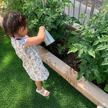 Pomegranate Schools - Watering the plants! - Preschools Near Me - Irvine, California