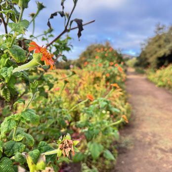 Rancho La Puerta - Estrellas Organic farm - Travel Services Near Me