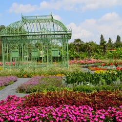 Blumengärten und Palmenhaus Hirschstetten - garden with terrace