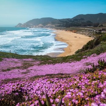 Moné Integrative Wellness - Life Coach Near Me - San Diego, California Moné Integrative Wellness - Life Coach Near Me - San Diego, California