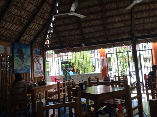 El Grillo Marinero by null