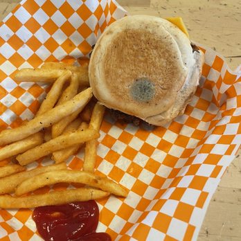 Holy Cow - Mold on bun - so disappointing!!! Smh - Burgers Near Me - Elmont, New York Holy Cow - Mold on bun - so disappointing!!! Smh - Burgers Near Me - Elmont, New York