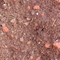 Evergreen Supply - Gro Green