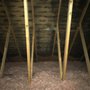 Photo of Superior Inspection Services