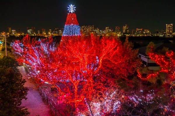 DECKS Tokyo Beach by null