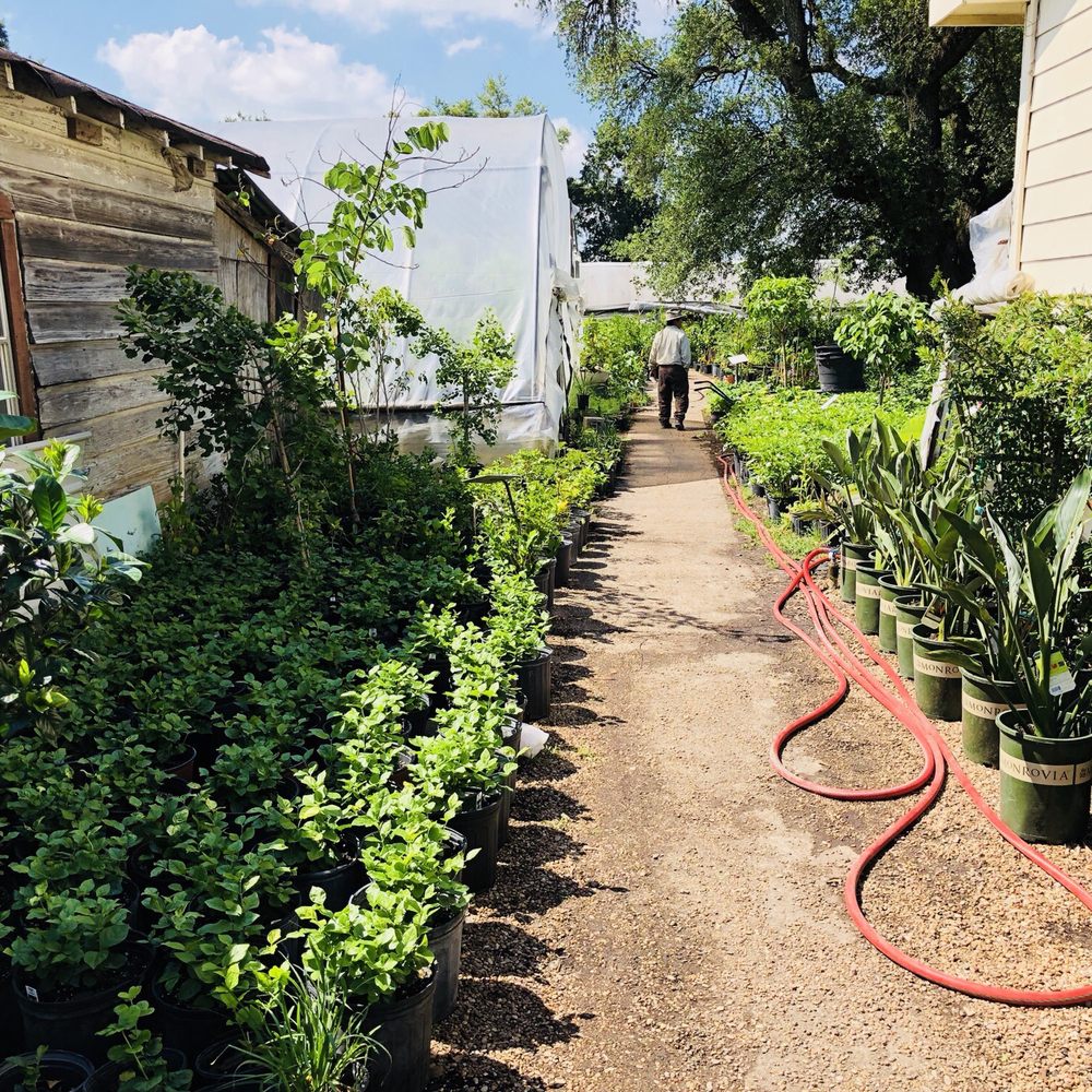 JRN Nursery - Nurseries & Gardening Near Me - Houston, Texas JRN Nursery - Nurseries & Gardening Near Me - Houston, Texas