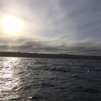 Telstar Charters - Today fishing trip. - Boat Charters Near Me - Fort Bragg, California