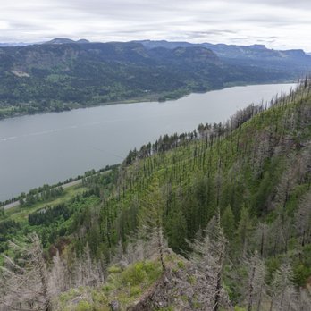 Angel's Rest Hiking Trail - Hiking Near Me - Corbett, Oregon Angel's Rest Hiking Trail - Hiking Near Me - Corbett, Oregon