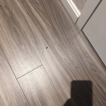Hyannis Harbor Hotel - One of the many ants in the room. Gross. - Hotels Near Me - Hyannis, Massachusetts Hyannis Harbor Hotel - One of the many ants in the room. Gross. - Hotels Near Me - Hyannis, Massachusetts