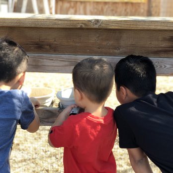 Ostrichland USA - Attraction Farms Near Me - Solvang, California Ostrichland USA - Attraction Farms Near Me - Solvang, California