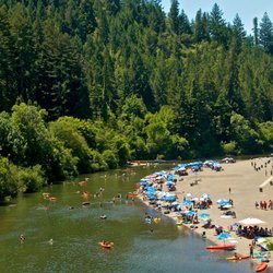 Brendan Coen - Russian River Real Estate