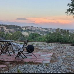 Backyard: BEFORE (A complete mess!)