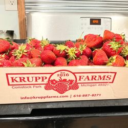 Krupp Farms - Strawberries