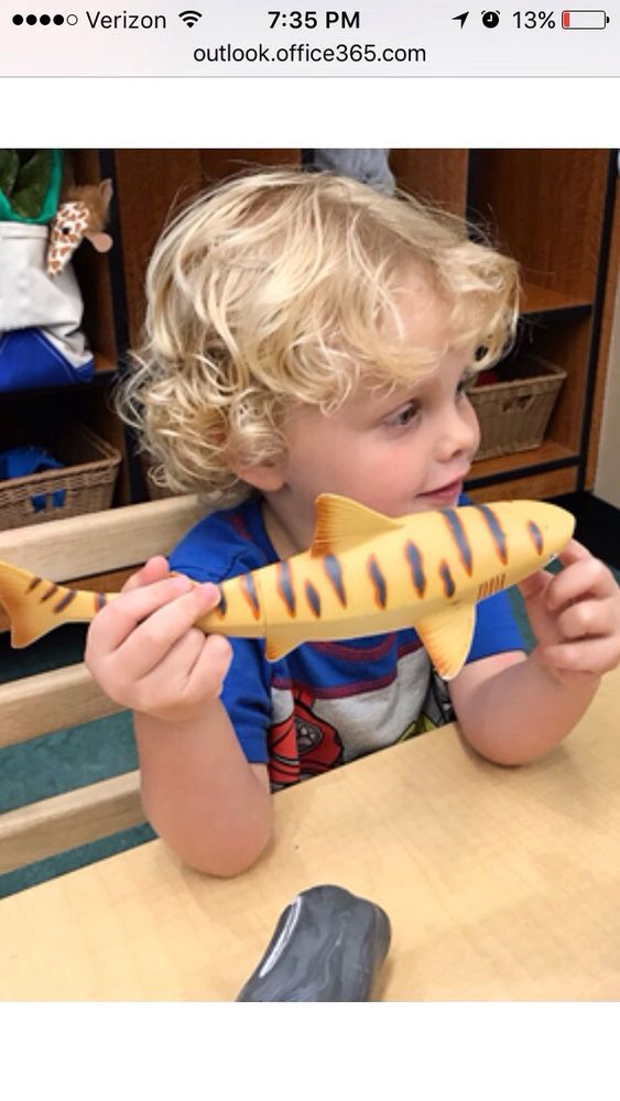 Children's Learning Adventure - childcare center in McKinney, TX