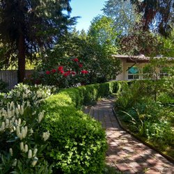 Saint Anne Nursing & Rehab Center - Our tranquil garden offers a peaceful escape and a breath of fresh air for residents at St. Anne Nursing & Rehab.
