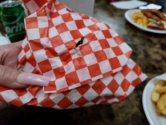 Frozen Dreams by null