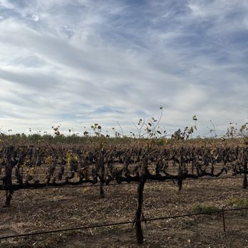 Nascere Vineyards - Wineries Near Me - Chico, California
