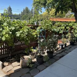 Little Oak Preschool
