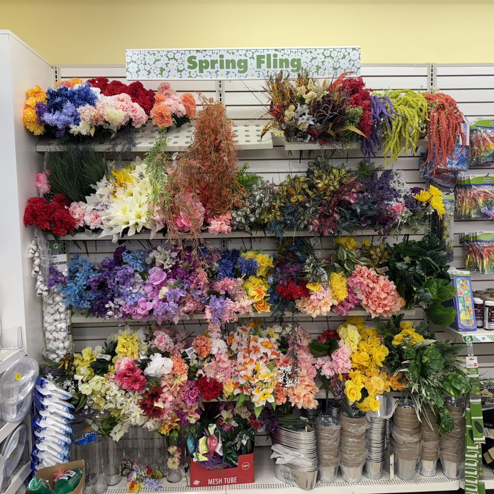 Dollar Tree - Discount Store Near Me - Des Plaines, Illinois