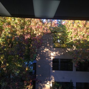 Carmella Mojahedi, DDS - Building - General Dentistry Near Me - Sacramento, California Carmella Mojahedi, DDS - Building - General Dentistry Near Me - Sacramento, California