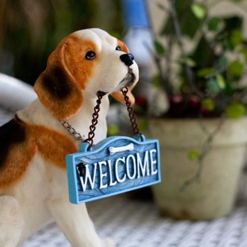 The Bark Park - All Dogs are welcome - we do not discriminate against breeds... - Pet Groomers Near Me - Stuart, Florida