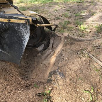 Low Country Stump Removal - Tree Services Near Me Low Country Stump Removal - Tree Services Near Me