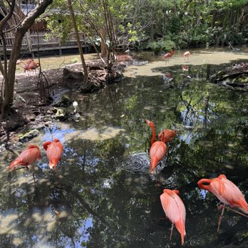 Palm Beach Zoo - Zoos Near Me - West Palm Beach, Florida