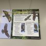 Photo of Braddock Bay Bird Observatory